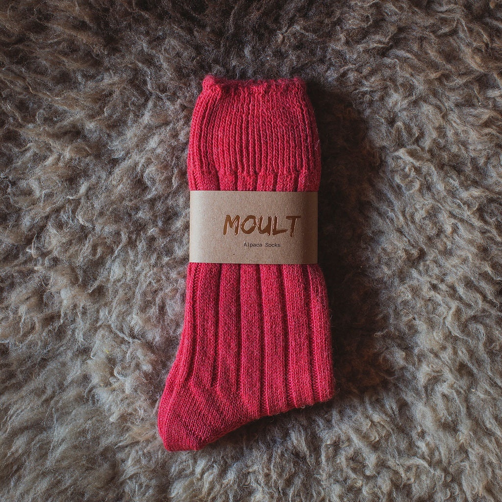 Alpaca Socks - Raspberry